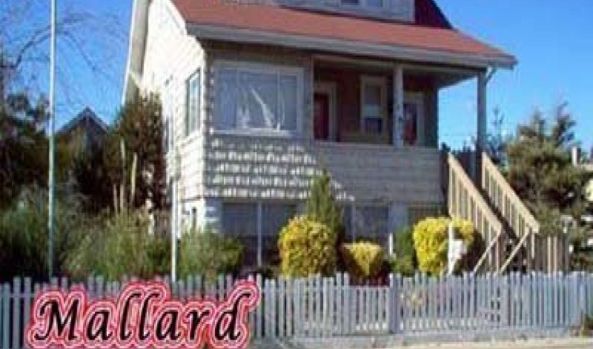 Mallard Apartments