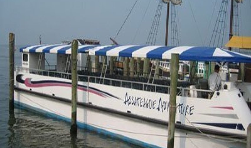 Assateague Adventure Cruises