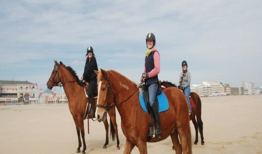 Holly Ridge Farm Equestrian Center