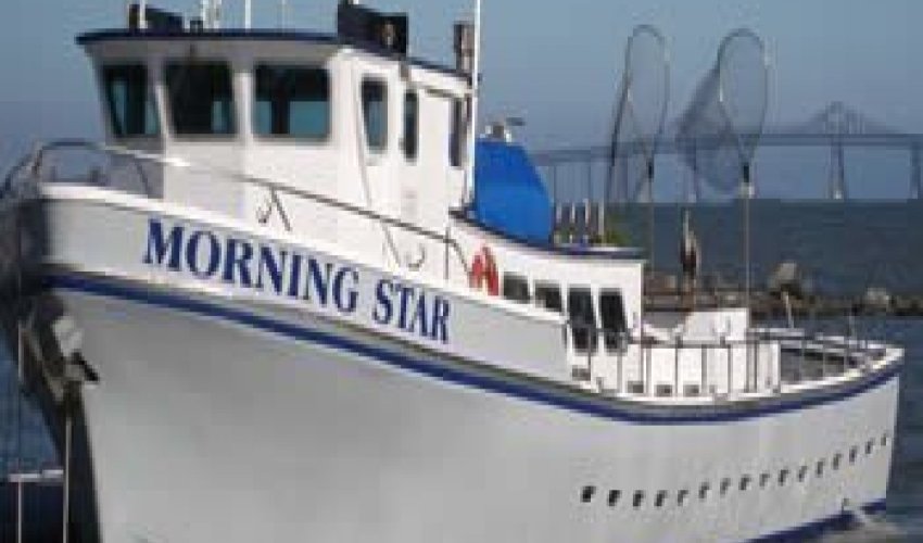 Morning Star Fishing