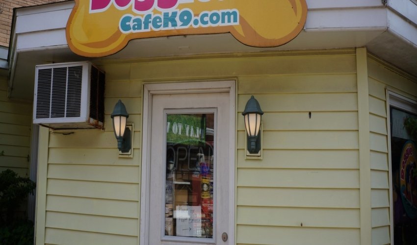 Doggie Style K9 Cafe