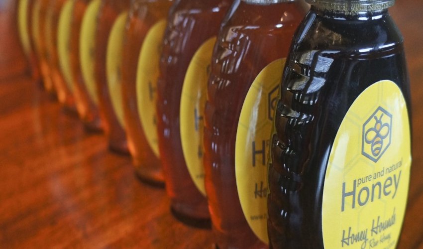 Honey Hounds
