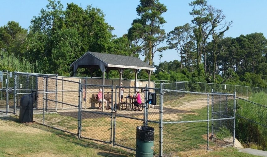 Dog Playground