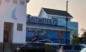 Saltwater 75