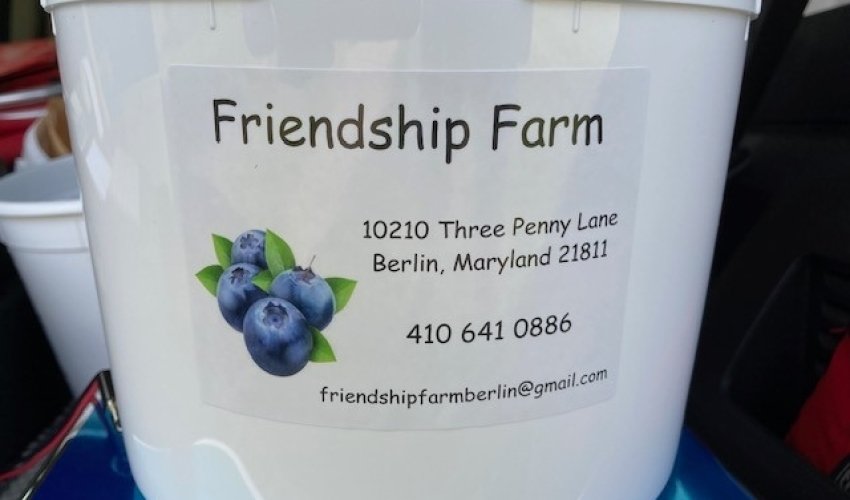 Friendship Farm