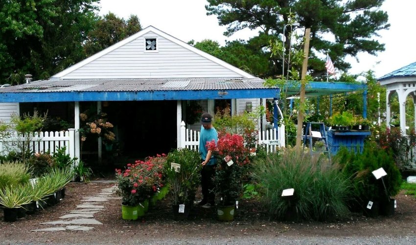 Bluebird Farms