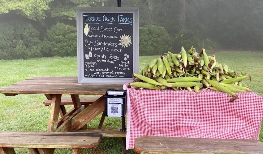 Turville Creek Farms