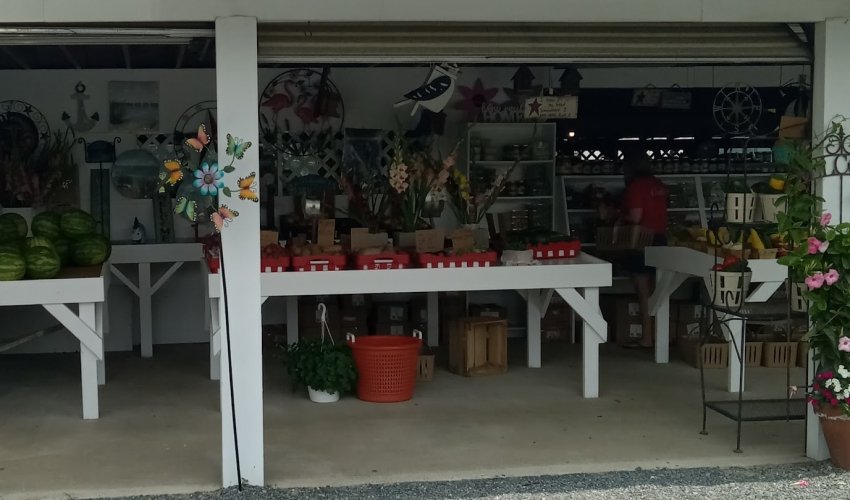Birch's Farm Stand