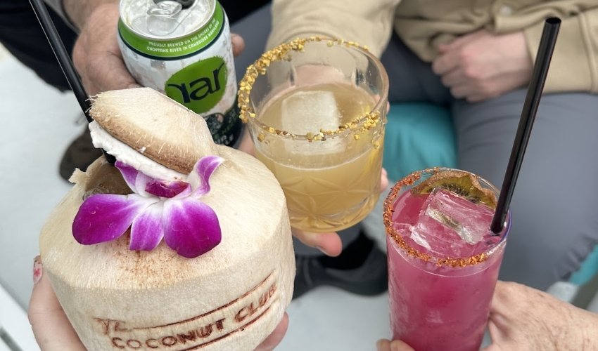 The Coconut Club