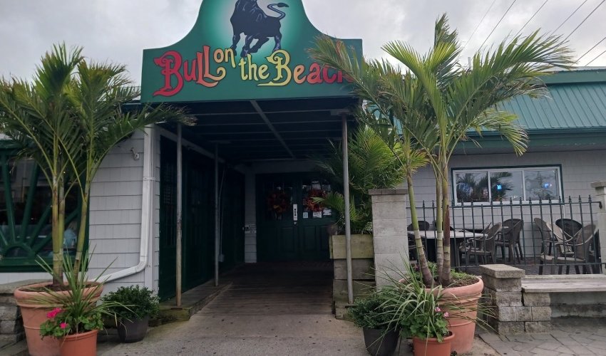 Bull on the Beach
