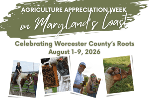 Maryland's Coast Agriculture Appreciation Week, August 1-9