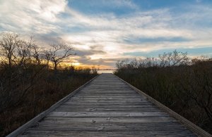 Winter Wellness on Maryland’s Coast