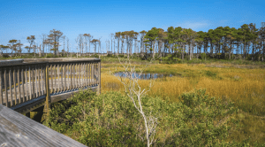 Experiencing Maryland 250 on Maryland’s Coast