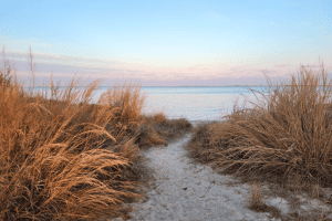 Venture Outdoors This Winter Along Maryland’s Coast