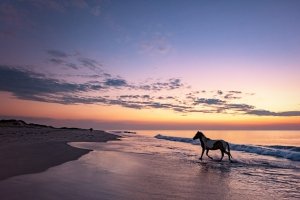 Outdoor Activities on Maryland’s Coast