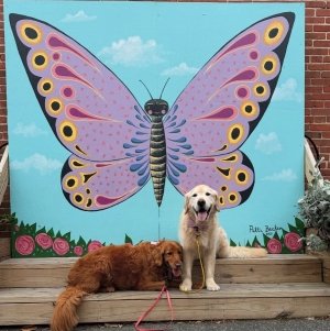 A 3-Day Mural and Public Art Trail Itinerary Along Maryland’s Coast