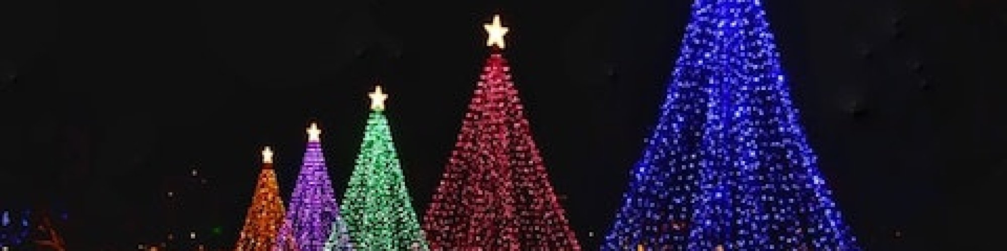 Winterfest of Lights is Back in Ocean City, MD Visit Maryland's Coast