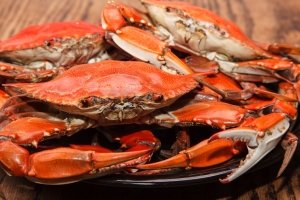 Best Crabs in Ocean City, MD