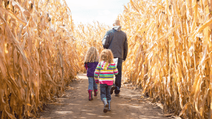 Pumpkin Picking and Fall Festivals Near Ocean City, MD