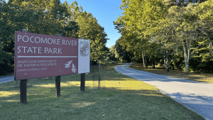 Exploring Nature at Pocomoke River State Park: A Perfect Day Trip from Ocean City, MD