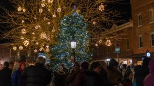 Take a Holiday Road Trip Through Maryland’s Coast