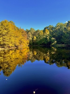 Fall Road Trip: A Scenic Journey Through Maryland’s Coast