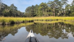 Ocean Pines: Walking Trails & Water Trails
