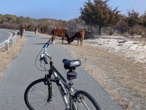 Spend Time Biking Along Maryland’s Coast This Season