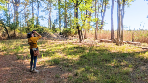 Spend Your Birding Era on Maryland’s Coast