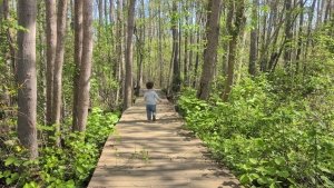 Lesser-Known Walking Trails of Maryland’s Coast
