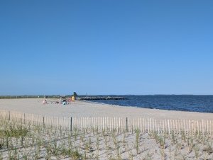 Off the Beaten Path in Public Landing