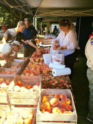 A Foodie’s Guide to August on Maryland’s Coast: Peaches, Corn, and Coastal Harvests