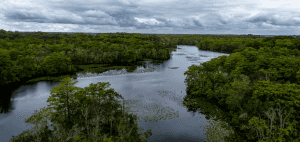 Fall Foliage on the Pocomoke River: A Paddler's Guide to Maryland's Coast