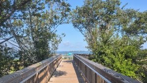 Beyond the Horses: Experience Assateague Like a Local While Also Giving Back