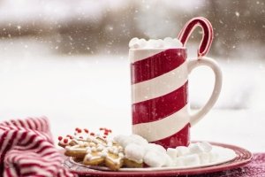 Reasons to Spend Holidays in OC