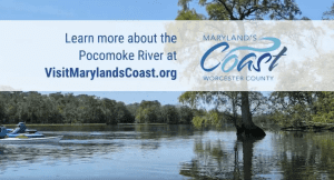 On-the-Water Experiences Along the Pocomoke River