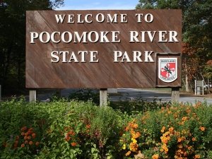 Pocomoke River State Park: Shad Landing vs. Milburn Landing