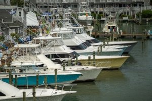 White Marlin Open 2022 in Ocean City, MD