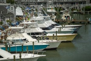 Best Ways to Watch the 2023 White Marlin Open