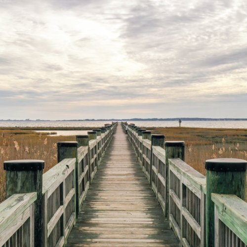 Isn't It Time To Go Coastal?